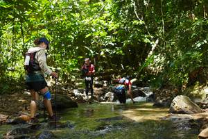 BIB: 
                            <button type="button" onclick="openModal(21844002)" class="btn btn-primary btn-sm float-right btn-popup" data-toggle="modal" data-target=".modal-high-quality">
                        <i class="fas fa-shopping-cart"></i> Add to Cart
                    </button>
                                            <button type="button" onclick="isThisMe(21844002, true)" class="btn btn-success btn-sm float-right btn-popup btn-isme hidden" data-toggle="tooltip" data-placement="bottom" title="นี่คือรูปของคุณใช่ไหม คลิกที่นี่เพื่อเอาเข้าอัลบั้ม">
                        <i class="fas fa-plus"></i> Add to album
                    </button>
                    <button type="button" onclick="isThisMe(21844002, false)" class="btn btn-warning btn-sm float-right btn-popup btn-isnotme hidden">
                        <i class="fas fa-ban"></i> Remove from album
                    </button>